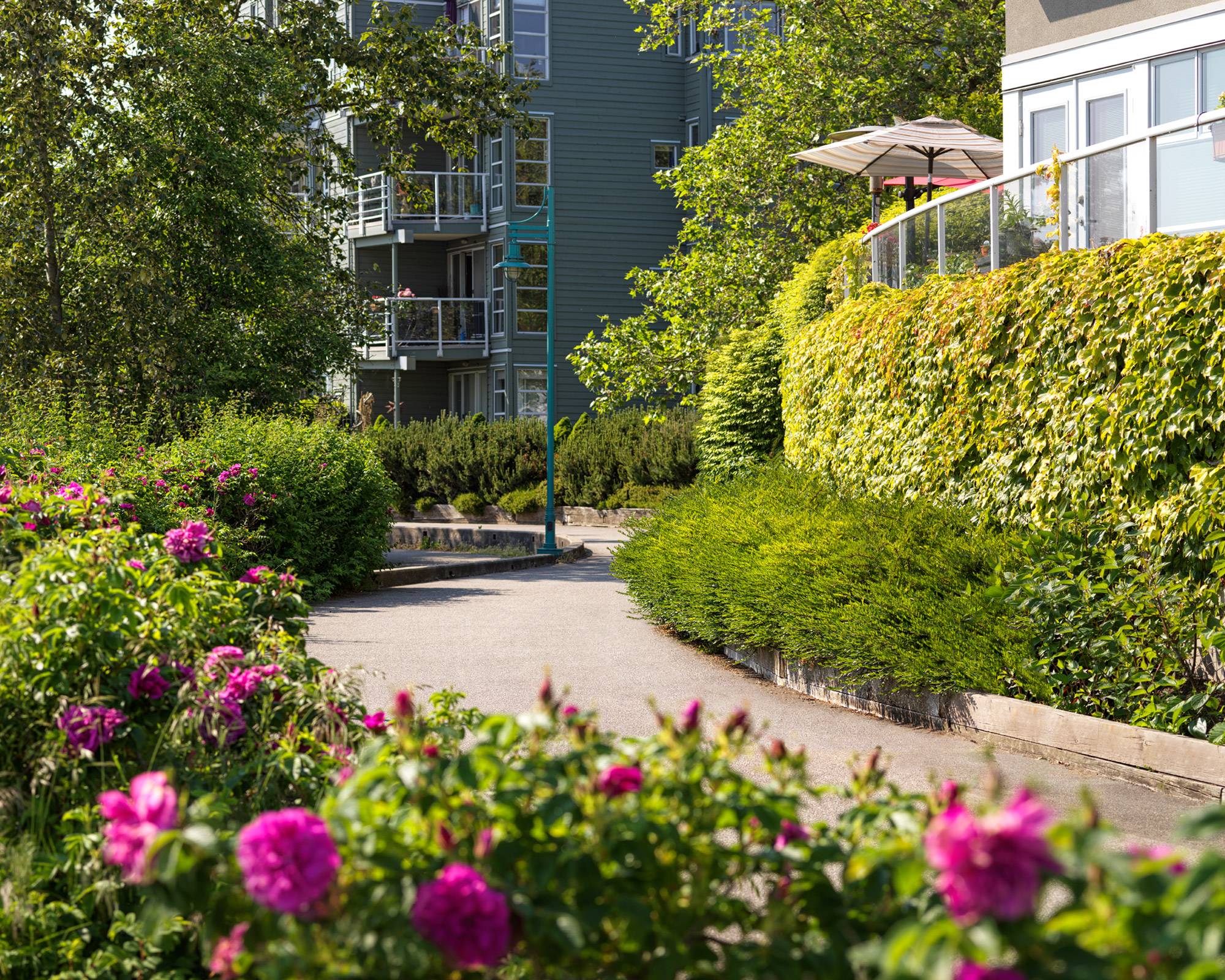 Fraserview Towers Co-op Homes